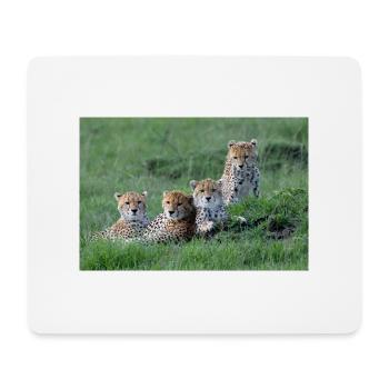 Geparden - Mousepad (Querformat) - Weiß - Vorne