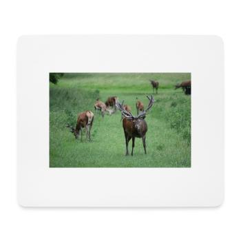 Deer with antlers DSC 0065 - Mouse Pad (horizontal) - white - Front