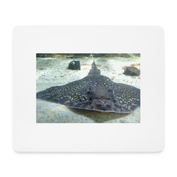 SEA LIFE - Mouse Pad (horizontal) - white - Front