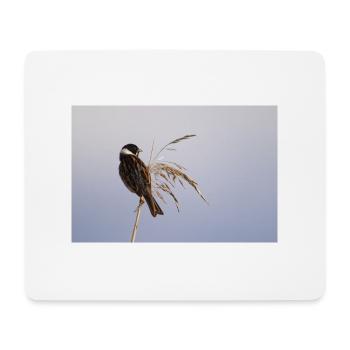 Bunting On Reeds - Mouse Pad (horizontal) - white - Front