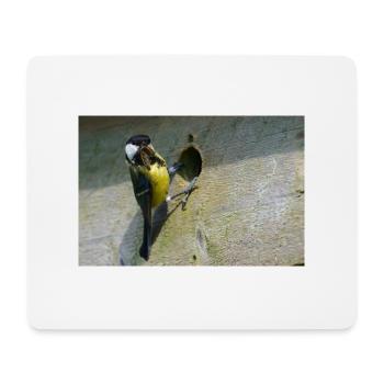 Great Tit Feeding Chicks - Mouse Pad (horizontal) - white - Front