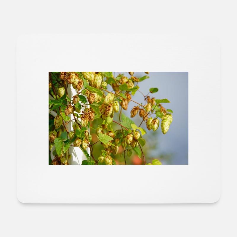 Hopfen - Mousepad (Querformat) - Weiß