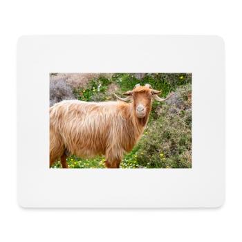 Mountain Goat in the national park Park Λίμνη Συμπ - Mouse Pad (horizontal) - white - Front