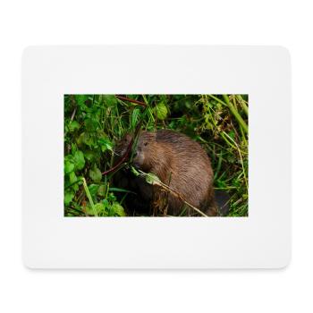 Beavers 3 - Mouse Pad (horizontal) - white - Front