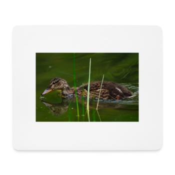 20240629 000 1661 NEF - Mouse Pad (horizontal) - white - Front