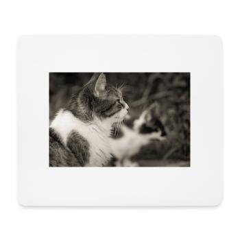 portrait de chats - Tapis de souris (format paysage) - blanc - Devant