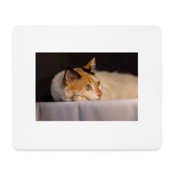 Die Katze - Mousepad (Querformat) - Weiß - Vorne