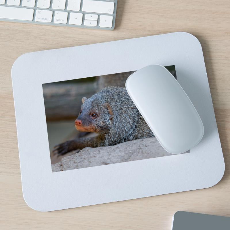 Gebänderte Manguste oder Zebramanguste Zebramanguste Mousepad (Querformat)