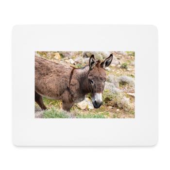 Âne dans un champ Paysage Île de Mykonos Sud A - Tapis de souris (format paysage) - blanc - Devant