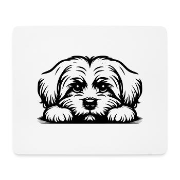 Maltese head with paws - Mouse Pad (horizontal) - white - Front