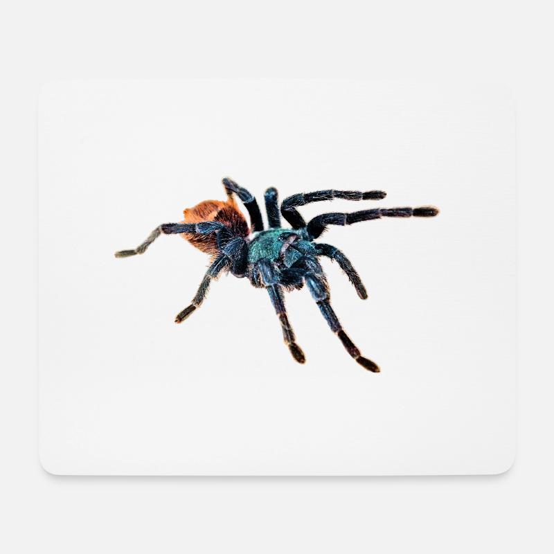 Vogelspinne - Mousepad (Querformat) - Weiß
