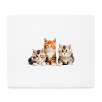 chatons maine coon chats mignons - Tapis de souris (format paysage) - blanc - Devant