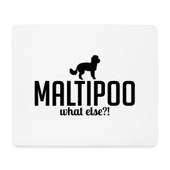 Maltipoo what else Hundespruch Hunde - Mousepad (Querformat) - Weiß - Vorne