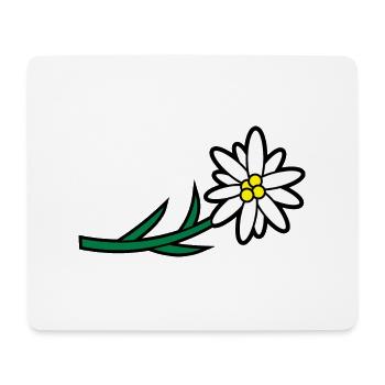 Blumen und Kräuter: Edelweiss - Mousepad (Querformat) - Weiß - Vorne