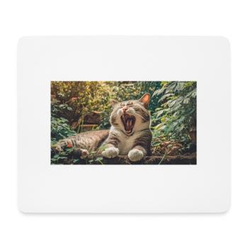 Niedliche Tiere chillen – Katze - Mousepad (Querformat) - Weiß - Vorne