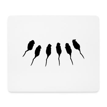 6 Ratten / 6 rats (1c) - Mousepad (Querformat) - Weiß - Vorne
