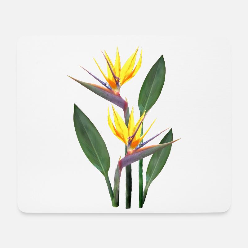 Strelitzia - Tropische Blume - Afrika - Kenia - Mousepad (Querformat) - Weiß