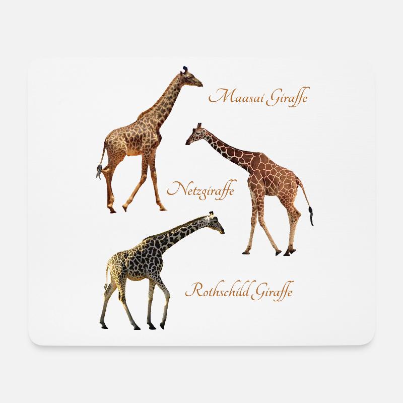 3 Giraffen - Arten / Kenia / Afrika / Wildtiere - Mousepad (Querformat) - Weiß