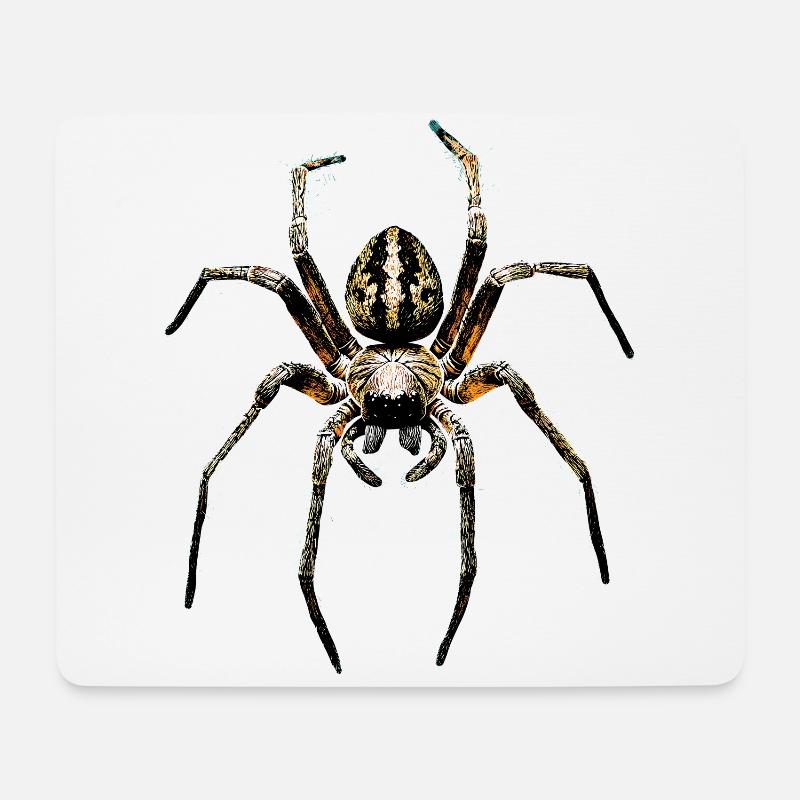 Spinne Vogelspinne Tarantel Liebe Arachnid Spinnen - Mousepad (Querformat) - Weiß