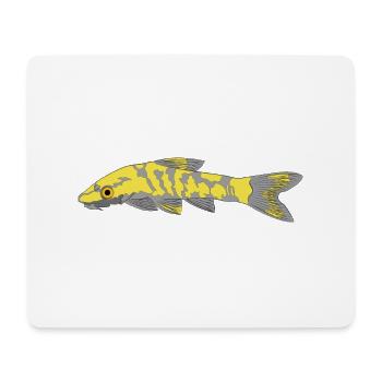 Zebra oto, Tiger oto wels. Otocinclus cocama - Mousepad (Querformat) - Weiß - Vorne
