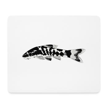 Zebra oto, Tiger oto wels. Otocinclus cocama - Mousepad (Querformat) - Weiß - Vorne