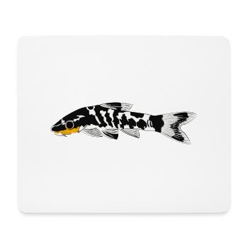 Zebra oto, Tiger oto wels. Otocinclus cocama - Mousepad (Querformat) - Weiß - Vorne
