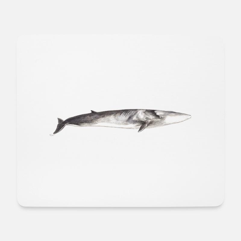 Finnwal Balaenoptera physalus - Mousepad (Querformat) - Weiß