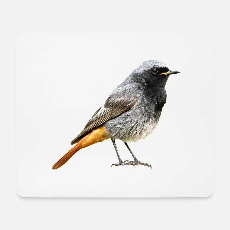 Rotschwanz Robin - Mousepad (Querformat) - Weiß
