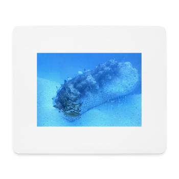 See Walze - Mousepad (Querformat) - Weiß - Vorne