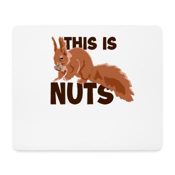 This Is Nuts Fuchshörnchen Grauhörnchen - Mousepad (Querformat) - Weiß - Vorne