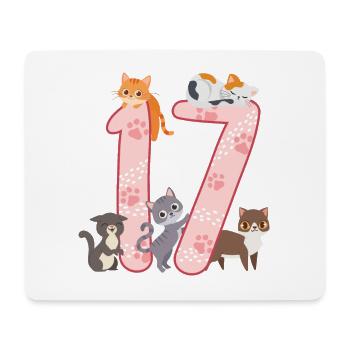 17th Birthday Girl Cats Outfit 17 years old - Mouse Pad (horizontal) - white - Front