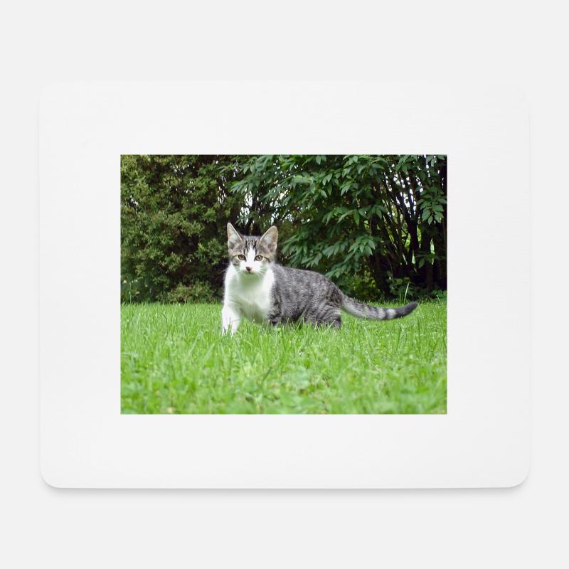 Neugieriges Kätzchen - Mousepad (Querformat) - Weiß