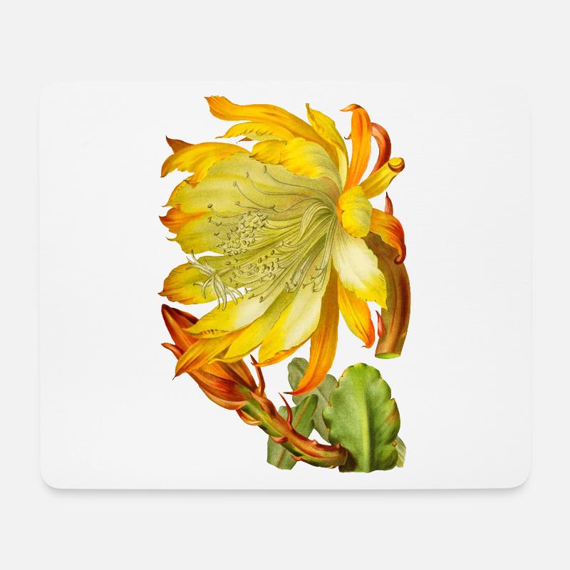Vintage-Kaktusblüte, viktorianische Illustration - Mousepad (Querformat) - Weiß