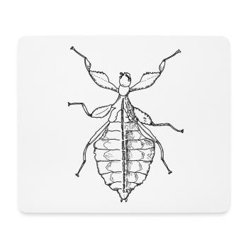 Walking Leaf - Phylliidae - Ghost Scarecrow - Mouse Pad (horizontal) - white - Front