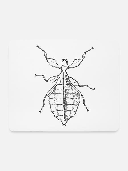 Wandelndes Blatt - Phylliidae - Gespenstschrecke - Mousepad (Querformat) - Weiß