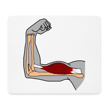 Bizeps brachii Muskel Oberarmmuskel Anatomie Kraft - Mousepad (Querformat) - Weiß - Vorne