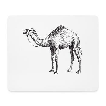 chameau - Tapis de souris (format paysage) - blanc - Devant