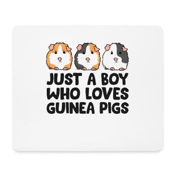 Juste un garçon qui aime les cochons d’Inde - Tapis de souris (format paysage) - blanc - Devant
