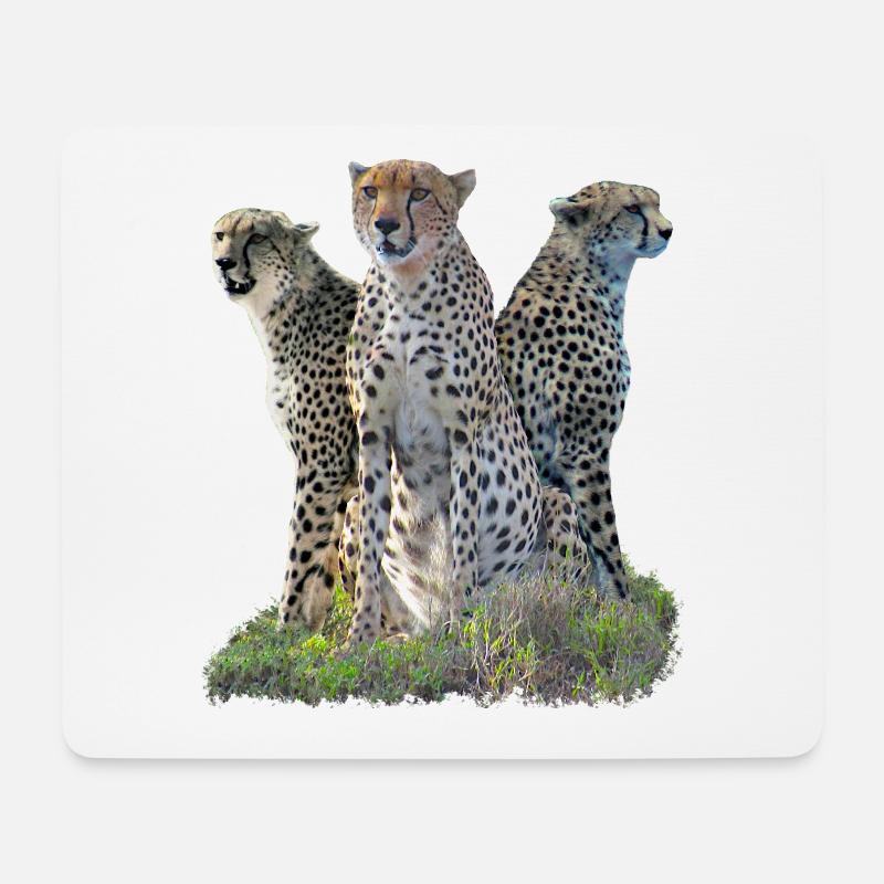 3 Geparden - Gepard - Raubkatze - Katze - Afrika - Mousepad (Querformat) - Weiß
