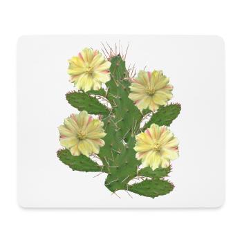 Kaktus - Kaktusblüten - Flora - Afrika - Mousepad (Querformat) - Weiß - Vorne