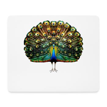 Pfau Blauer Pfau Pfauen Peacock Rad Pfauenrad Pfau - Mousepad (Querformat) - Weiß - Vorne