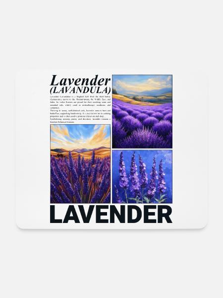 Lavendel Lavandula Natur Provence Botanik Geschenk - Mousepad (Querformat) - Weiß