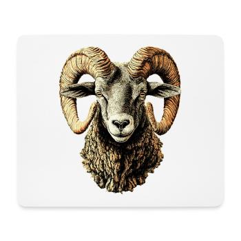 Widder Mufflon Aries Wilde Schafe Männliches Schaf - Mousepad (Querformat) - Weiß - Vorne