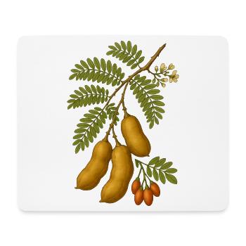 Vintage Botanical Tamarind Pod Illustration - Mouse Pad (horizontal) - white - Front