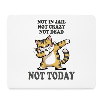 Not Today Funny Cat Attitude Humor Design - Mouse Pad (horizontal) - white - Front