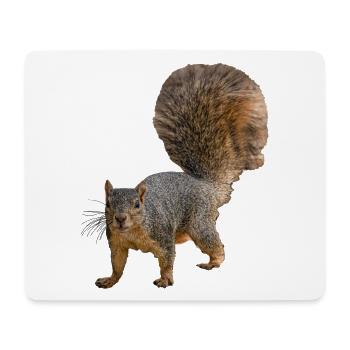 Squirrel from the front, Eastern fox squirrel - Mouse Pad (horizontal) - white - Front