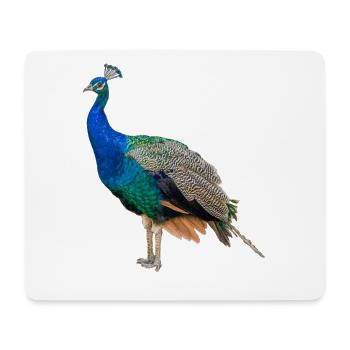 Blue Peacock, Natural, Photography - Mouse Pad (horizontal) - white - Front
