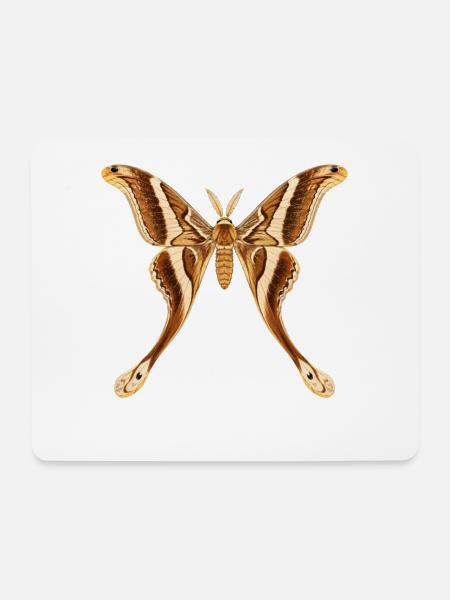 Hercules Moth Coscinocera hercules Cartoon-Stil - Mousepad (Querformat) - Weiß
