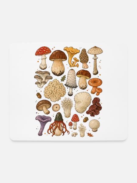 Pilze | Mykologie & Wald - Mousepad (Querformat) - Weiß