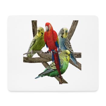 Wellensittich - Mousepad (Querformat) - Weiß - Vorne